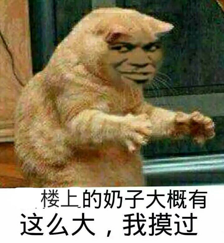 楼上的奶子大概有这么大，我摸过