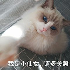 我是小仙女请多关照