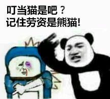 叮当猫是吧？记住劳资是熊猫！