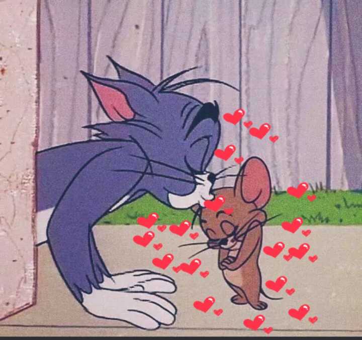 TOM LOVE JERRY