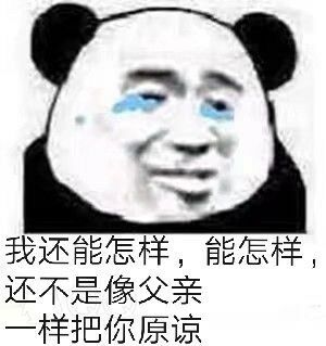 我还能怎样，能怎样，还不是像父亲样把你原谅