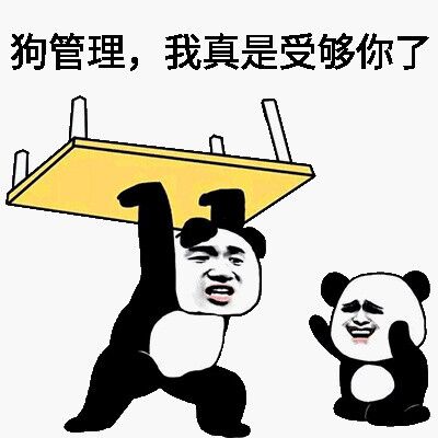 狗管理，我真是受够你了