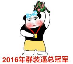 2016年群装逼总冠军