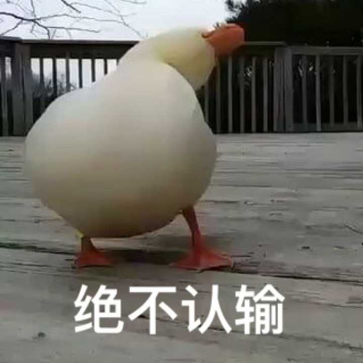 绝不认输