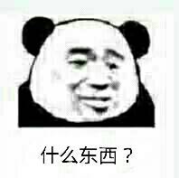 什么东西？