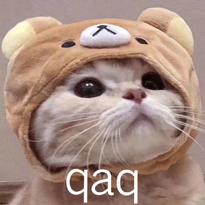 QAQ