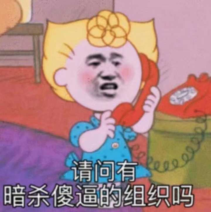 请问有暗杀傻逼的组织吗