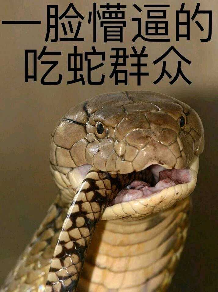 一脸懵逼的吃蛇群众