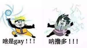 啥是gay！！！呐撸多！！！