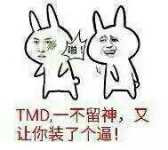 TMD，一不留神，又让你装了个逼！