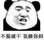 不服就干我操你妈