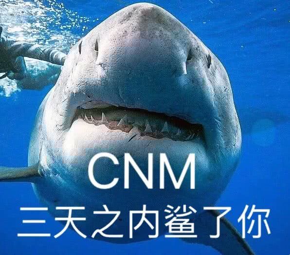 CNM，三天之内鲨了你