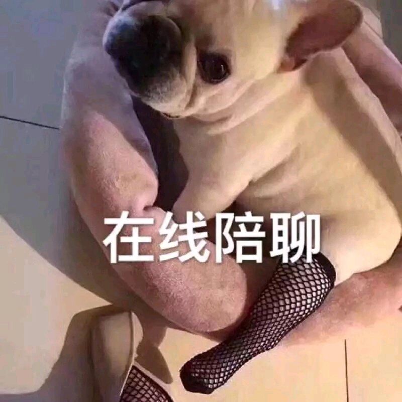 在线陪聊