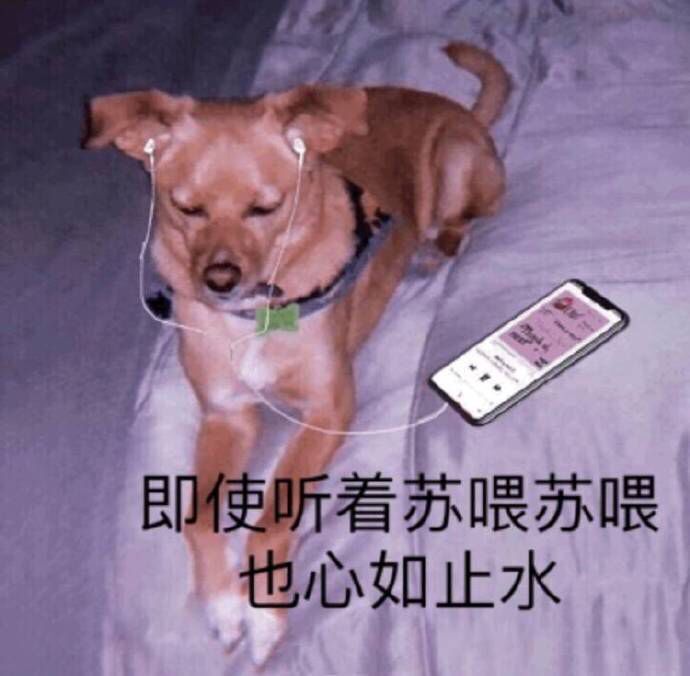 即使听着苏喂苏喂也心如止水