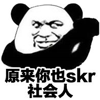 原来你也skr社会人