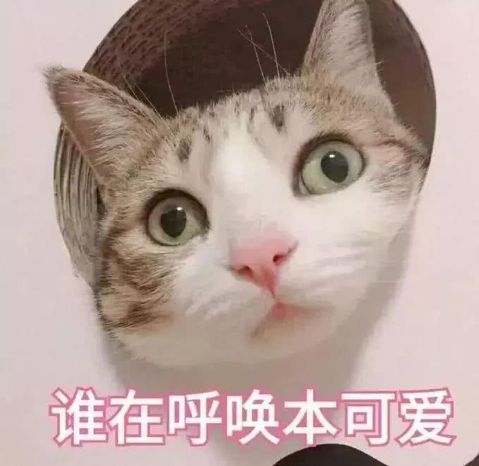 谁在呼唤本可爱