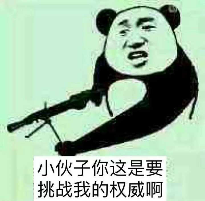 小伙子，你这是要挑战我的权威啊