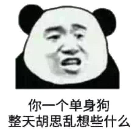 你一个单身狗整天胡思乱想些什么