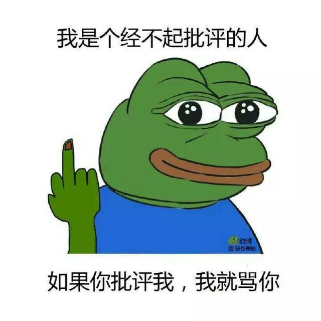 我是个经不起批评的人如果你批评我，我就骂你