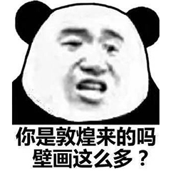 你是敦煌来的吗？壁画这么多？