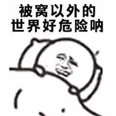 被窝以外的世界好危险呐