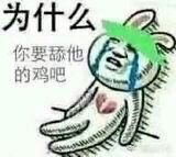 为什么你要舔他的鸡吧