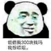 能借我300块钱吗？我想嫖娼。