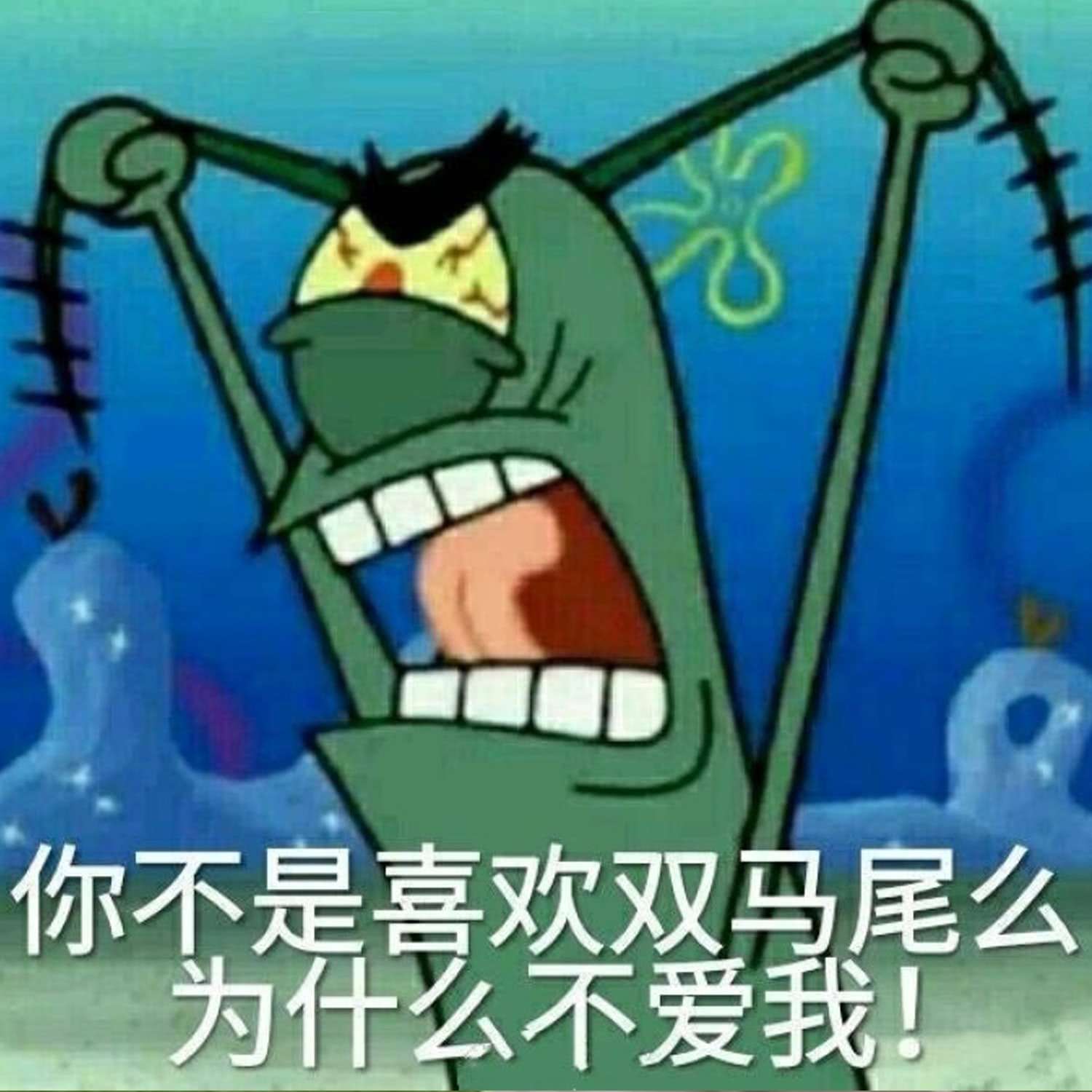 你不是喜欢双马尾么为什么不爱我！