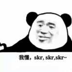 我懂，skr，skr，skr