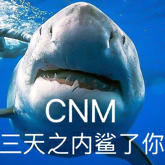 CNM天之内鲨了你