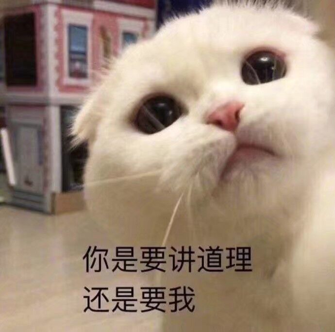 你是要讲道理还是要我