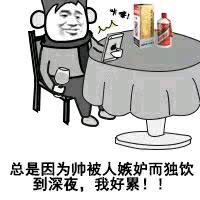 总是因为帅被人嫉妒而独饮到深夜，我好累！！