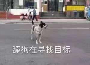 舔狗在寻找目标