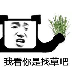 我看你是找草吧