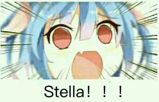 Stella！