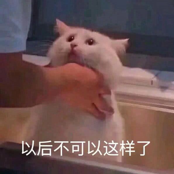 以后不可以这样了