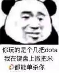 你玩的是个几把dota，我在键盘上撒把米都能单杀你