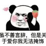 虽不善言辞，但是关于爱你我无法掩饰