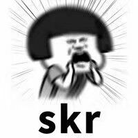 skr