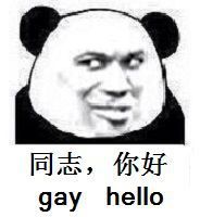 同志，你好gay hello