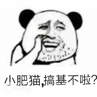 小肥猫，搞基不啦