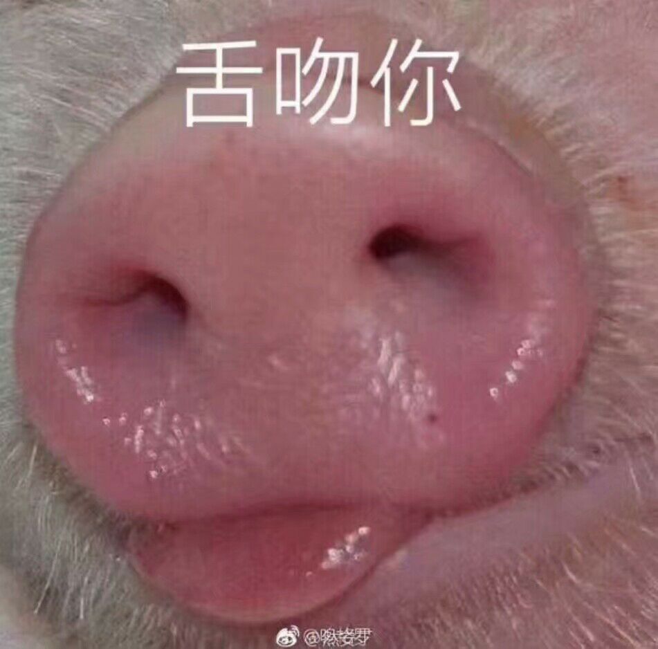 舌吻你