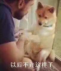 以后不许这样了