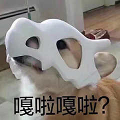 嘎啦嘎啦？