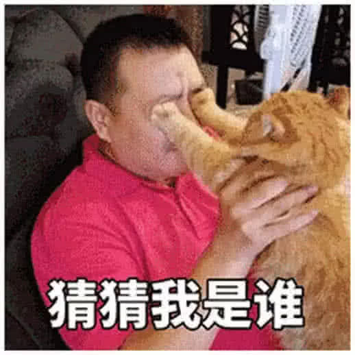 猜猜我是谁