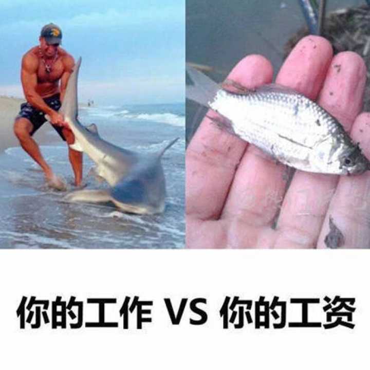 你的工作vS你的工资