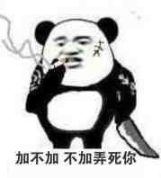 加不加不加弄死你