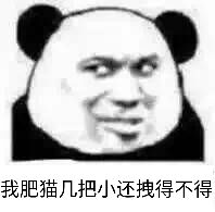 我肥猫几把小，还拽得不得