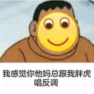 我感觉你他妈总跟我胖虎唱反调