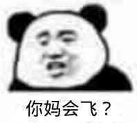 你妈会飞？